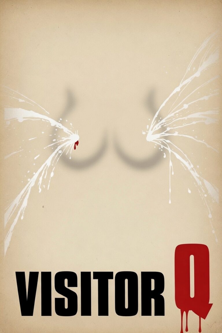 Jaquette du film Visitor Q